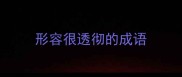 形容很透彻的成语