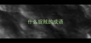 什么捉贼的成语