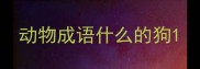 动物成语什么的狗