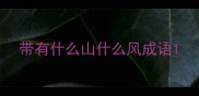 带有什么山什么风成语