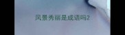 风景秀丽是成语吗