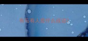 有马有人是什么成语