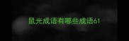 鼠光成语有哪些成语6