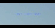 一扇门一只鸡打一成语