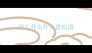 什么什么什么盆成语