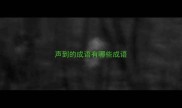声到的成语有哪些成语