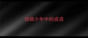 顶碗少年中的成语