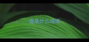 虚是什么成语