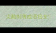 尖酸刻薄成语接龙
