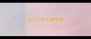 什么亡什么寒成语