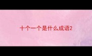 十个一个是什么成语