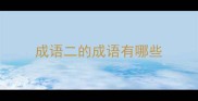 成语二的成语有哪些