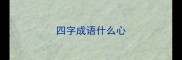 四字成语什么心