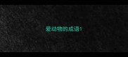 爱动物的成语