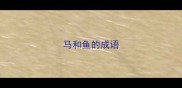 马和鱼的成语