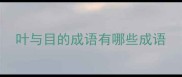 叶与目的成语有哪些成语