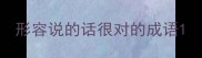 形容说的话很对的成语