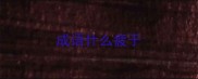 成语什么疲于