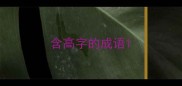含高字的成语