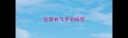 前后有飞字的成语