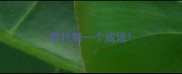 势竹猜一个成语