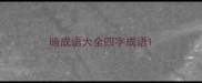 暗成语大全四字成语