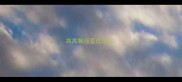 高高飘扬是成语吗