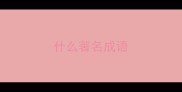 什么著名成语