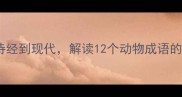 兽有关成语从诗经到现代解读12个动物成语的文化内涵与智慧