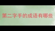 第二字手的成语有哪些