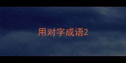 用对字成语