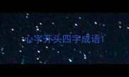 心字开头四字成语