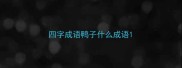 四字成语鸭子什么成语