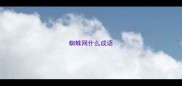 蜘蛛网什么成语