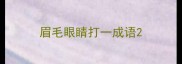 眉毛眼睛打一成语