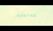 成语瑕不掩瑜