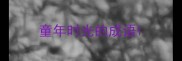 童年时光的成语