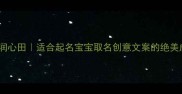 清泉润心田适合起名宝宝取名创意文案的绝美成语