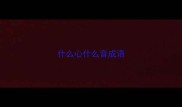什么心什么音成语