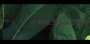 10个体现有学问的成语你了解几个从韦编三绝到学贯中西解锁中国成语中的智慧密码