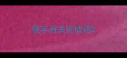镜字有关的成语