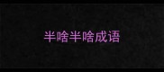 半啥半啥成语