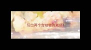 写出两个含动物的成语