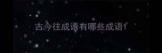 古今往成语有哪些成语