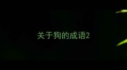 关于狗的成语