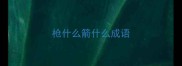 枪什么箭什么成语