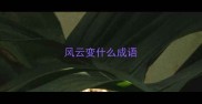 风云变什么成语