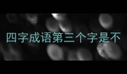 四字成语第三个字是不