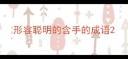 形容聪明的含手的成语