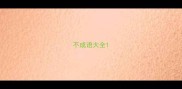不成语大全